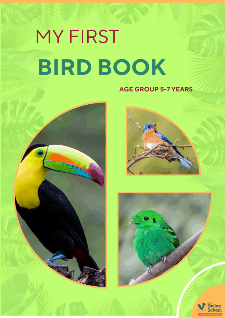 My First Bird Book