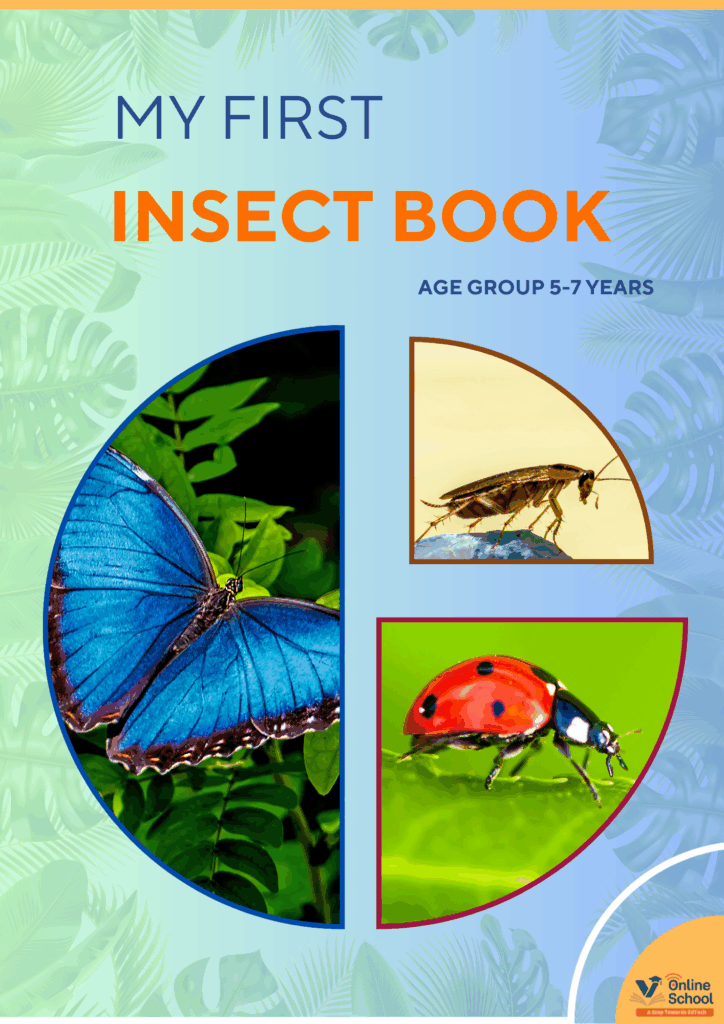 My First Insect Book