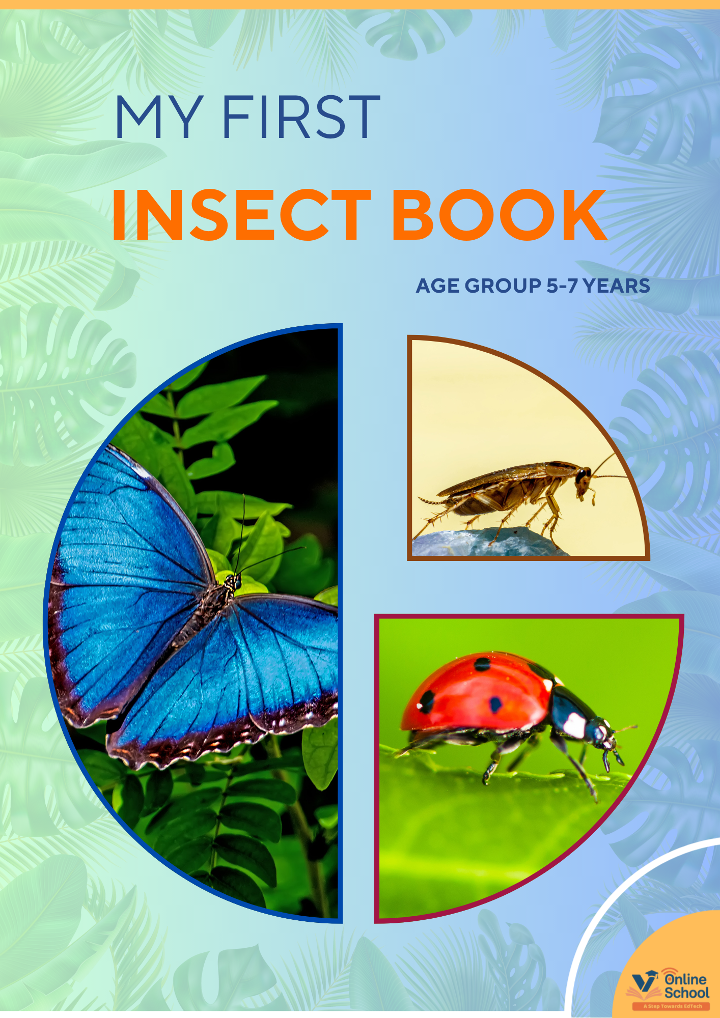 My First Insect Book